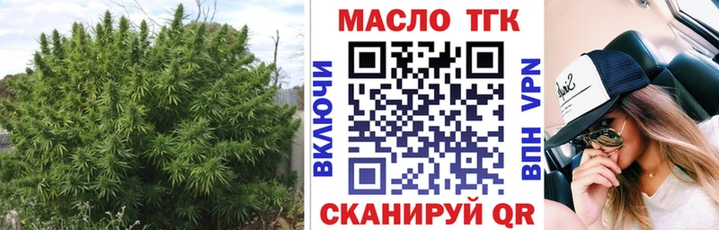 MEGA как зайти  продажа наркотиков  Барыш  ТГК THC oil 