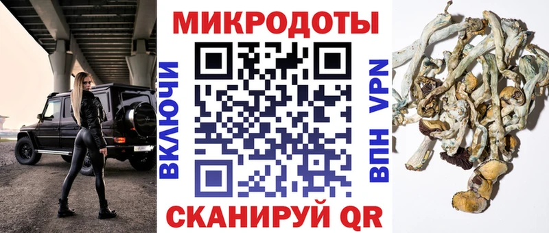 купить сайты блэк спрут tor Галлюциногенные грибы Psilocybe Барыш